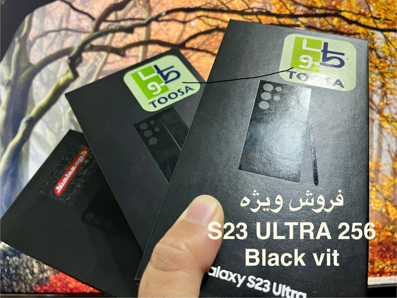 بدون عنوان