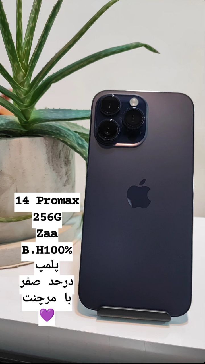 بدون عنوان