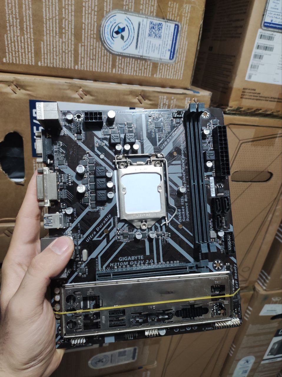 خرید GIGABYTE H310 DS2V💎