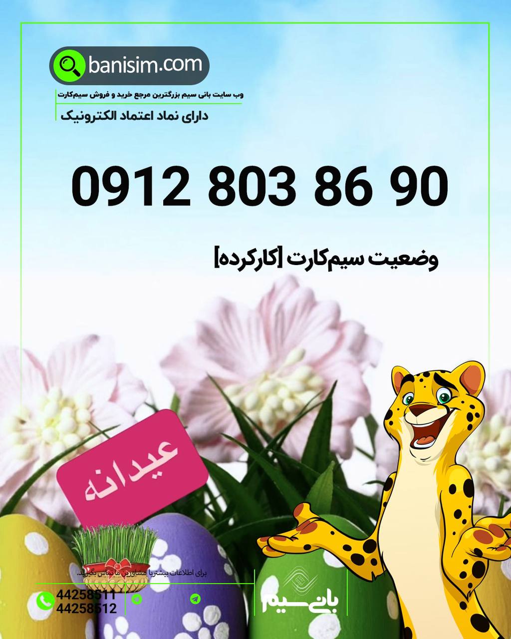 خرید سیمکارت  کارکرده ۰۹۱۲ 🔥