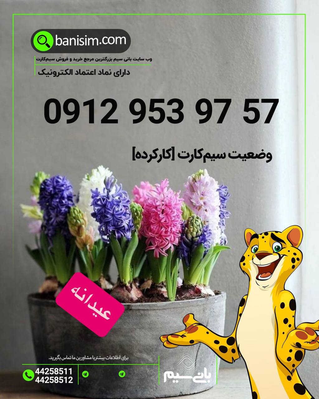 خرید سیمکارت ۰۹۱۲ 🔥