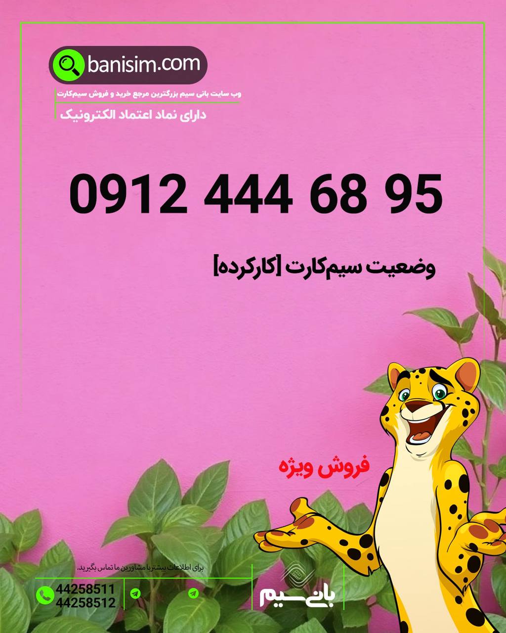 سیم کارت با تکرار رقم