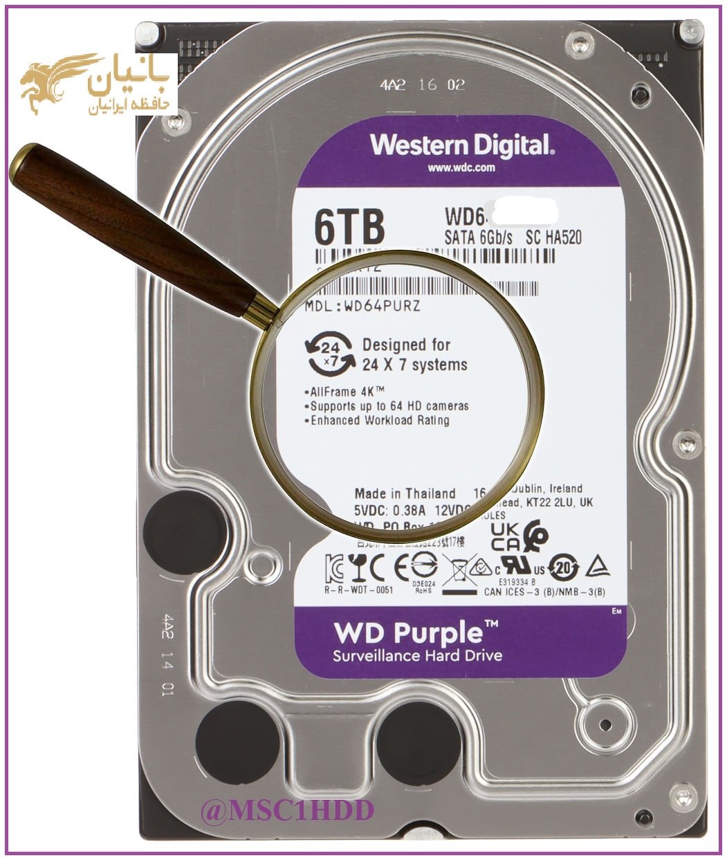 HDD 6.0 TB  PURPLE