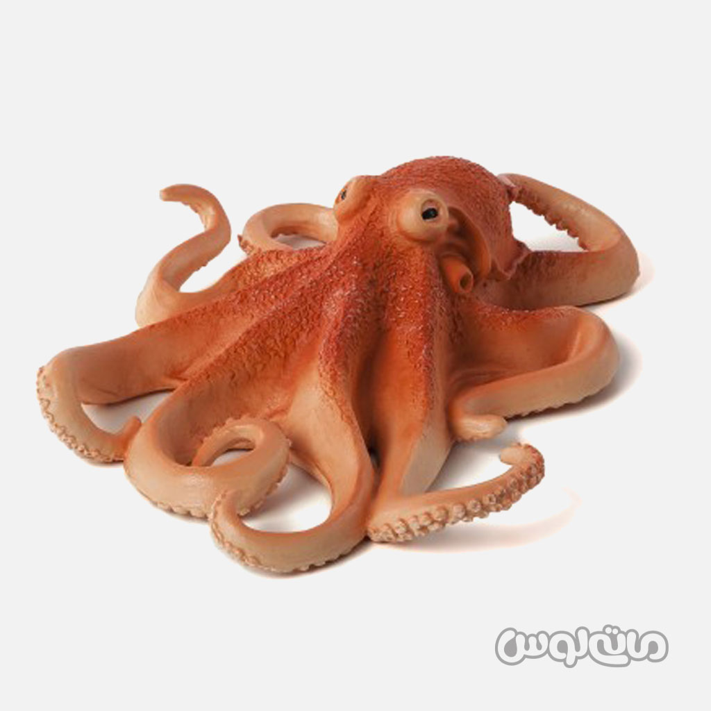 🐙فیگور اختاپوس