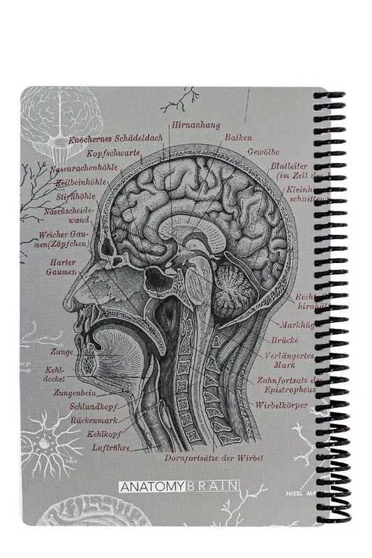 دفتر وزیری Scientist Brain طوسی