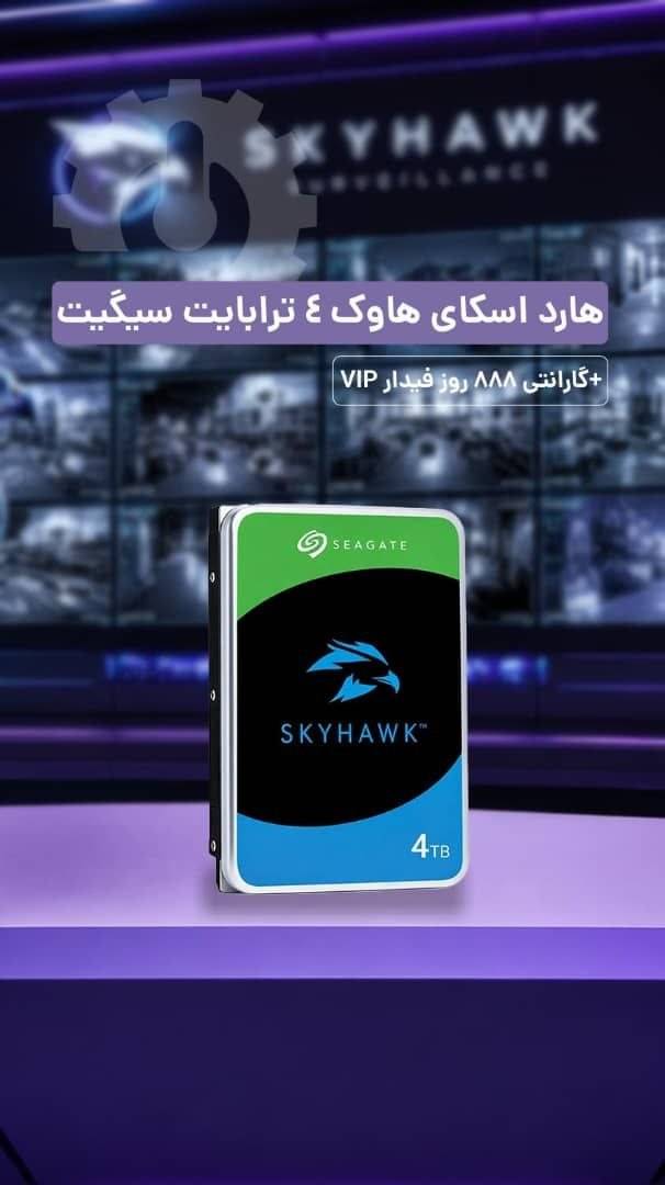 SkyHawk 4 Terabyte Hard Drive