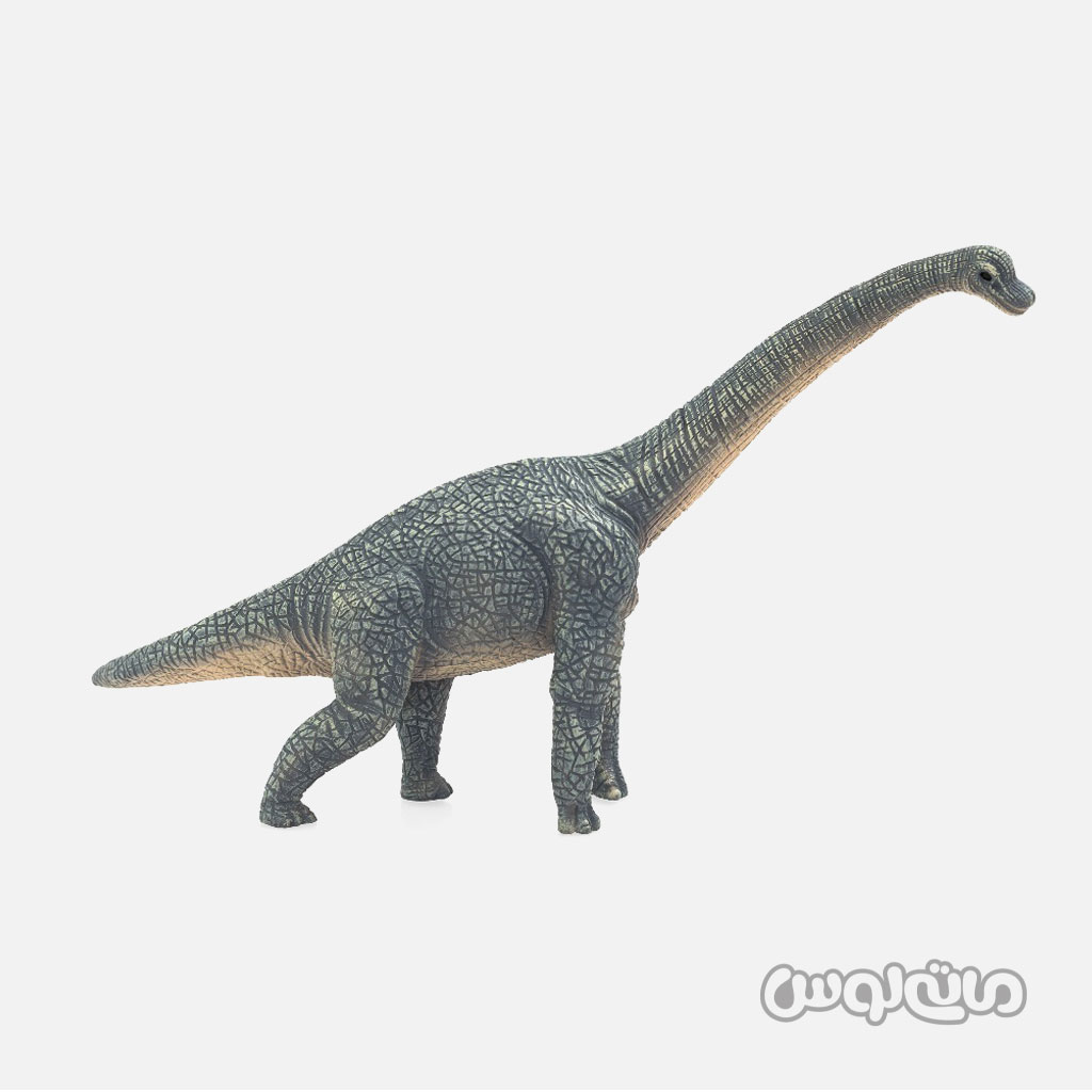 🦕فیگور دایناسور براکی ساروس